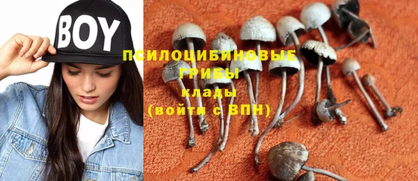 синтетический гашиш Абинск