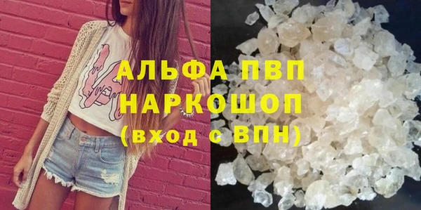 крисы Алзамай