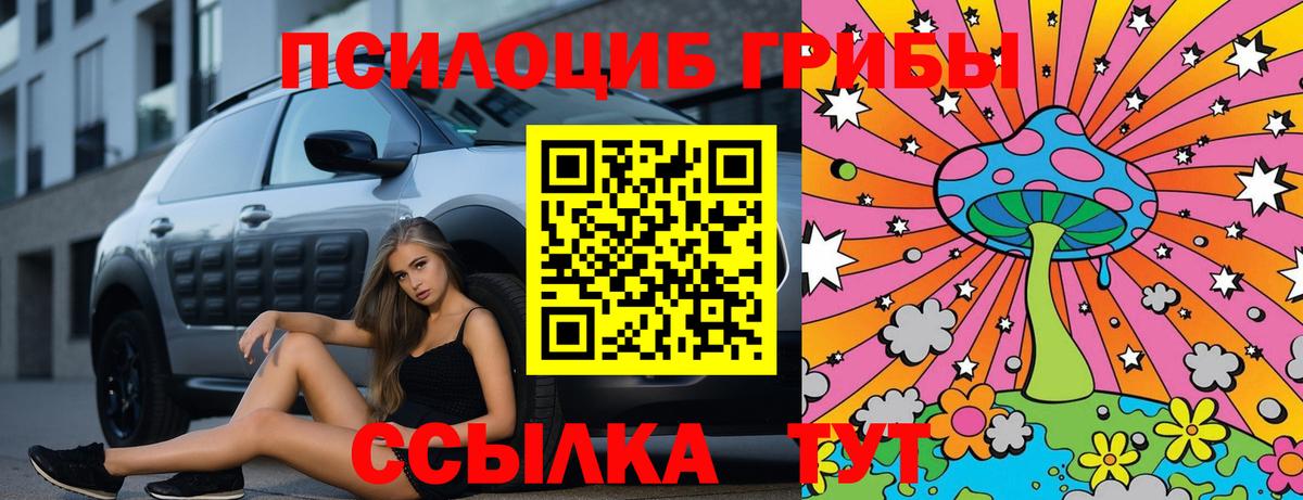 Димитровград  Галлюциногенные грибы ЛСД  Вход с VPN  Галлюциногенные грибы MAGIC MUSHROOMS 