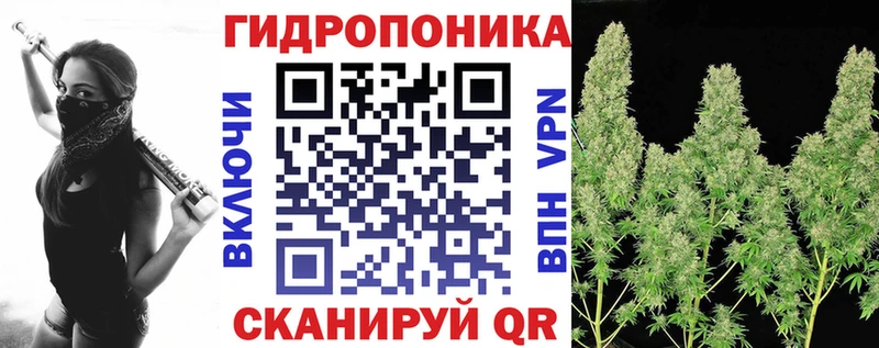 Канабис планчик  Димитровград 